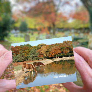Carte Postale Nouvelle forêt