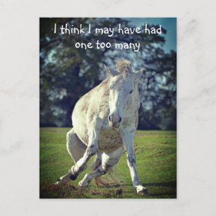 Carte Postale Nouvelle Forêt White Pony Funny Pose