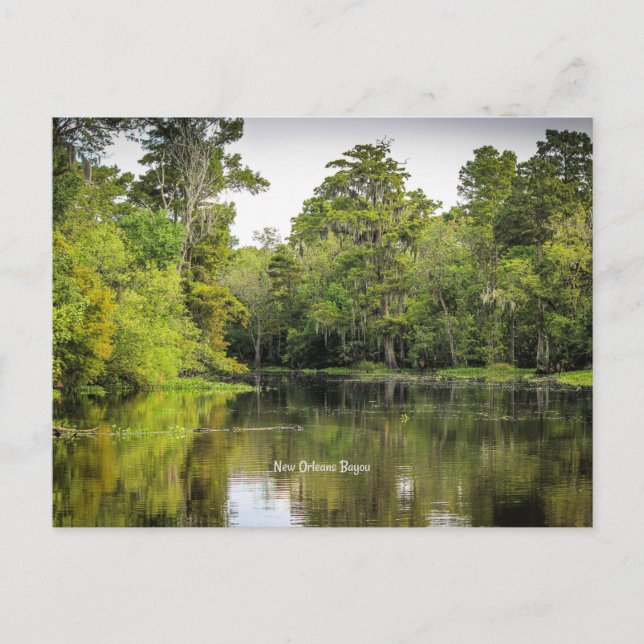 Carte Postale Nouvelle-Orléans, Louisiane, bayou, (Devant)