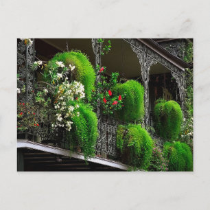 Carte postale Nouvelle-Orléans - Quartier français