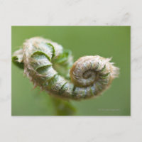 Nouvelle succursale de Fern