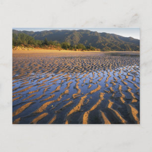 Carte Postale Nouvelle-Zélande, Parc national Abel Tasman, Côte