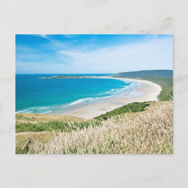 Carte Postale Nouvelle-Zélande, South Island, Catlins, Tautuku B (Devant)