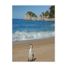 Nouvelle-Zélande Sud