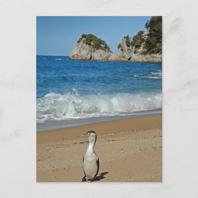 Carte Postale Nouvelle-Zélande Sud (Devant)