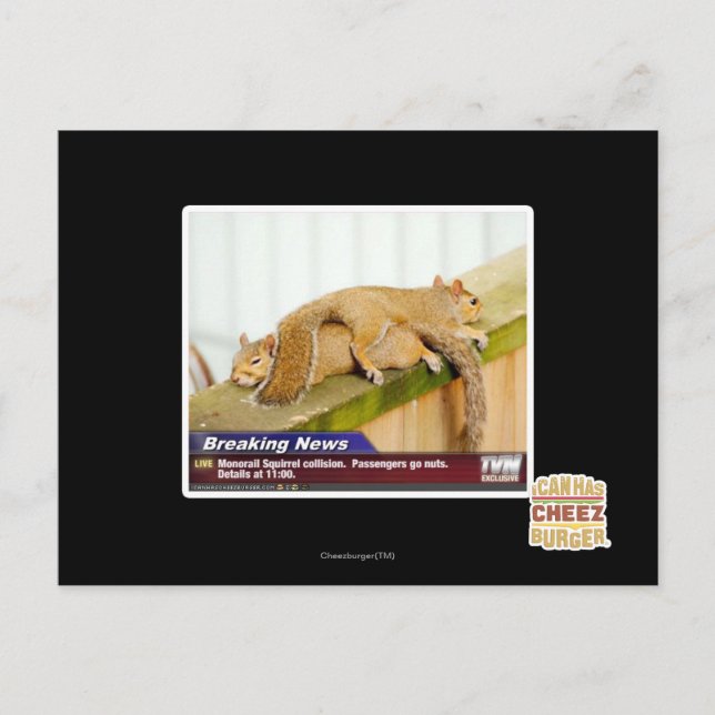 Carte Postale Nouvelles de rupture (Devant)