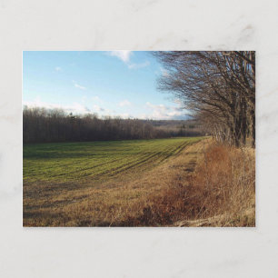 Carte Postale November Field II