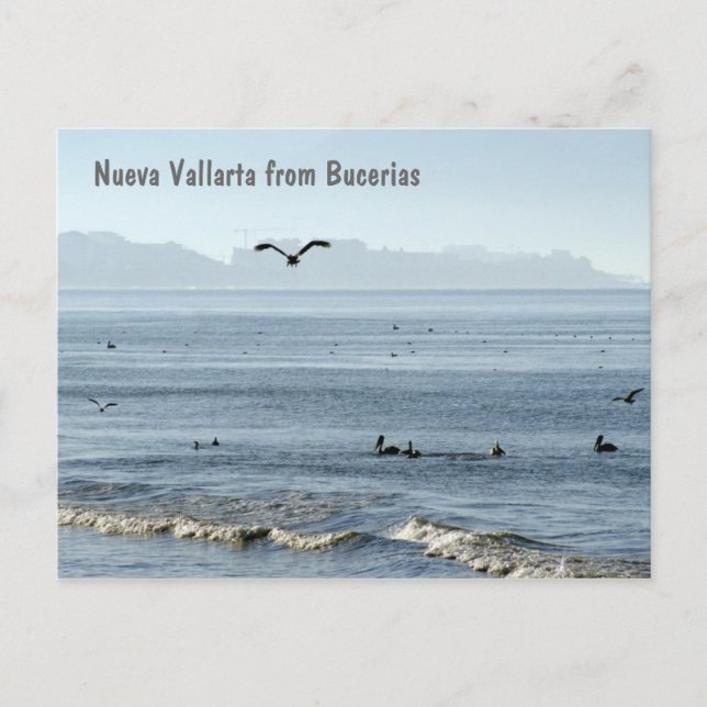 Carte Postale Nueva Vallarta de Bucerias (Devant)