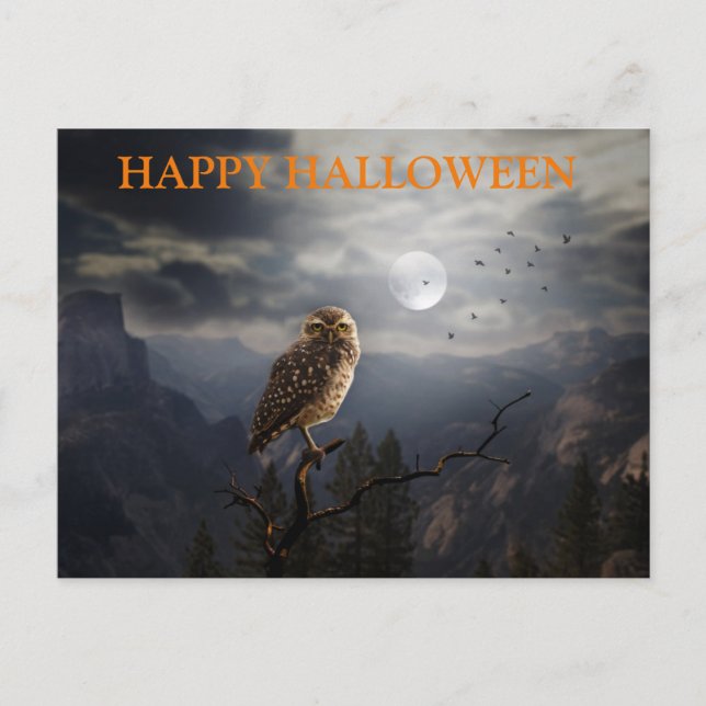 Carte Postale Nuit d'Halloween effrayant avec les hibou (Devant)