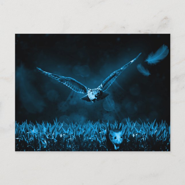 Carte Postale Nuit d'Imaginaire de Owl Hunt (Devant)