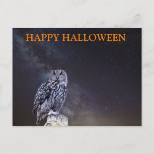 Carte Postale Nuit effrayante d'Halloween avec des hiboux