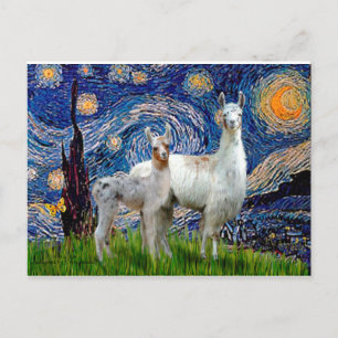 Carte Postale Nuit étoilée avec deux lamas