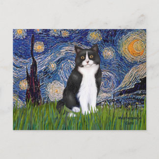 Carte Postale Nuit étoilée - Chat noir et blanc