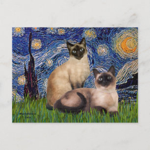 Carte Postale Nuit étoilée - Deux chats siamois (Choc Pt)