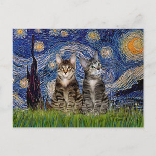 Carte Postale Nuit étoilée - Deux chats tigrés tabby