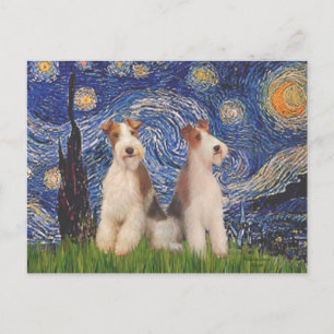 Carte Postale Nuit étoilée - Deux fils Fox Terriers