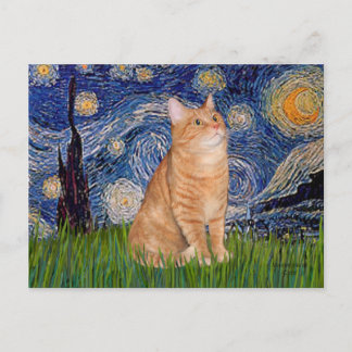 Carte Postale Nuit étoilée - Orange Tabby 46