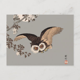 Carte Postale Nuit Japonaise Chouette Lune Bois Coupe Flying Nig