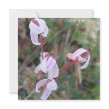 Carte postale numérique