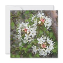 Carte postale numérique