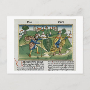 Carte Postale Numéros 13 23 Les raisins d'Eschol, de la 'Nure