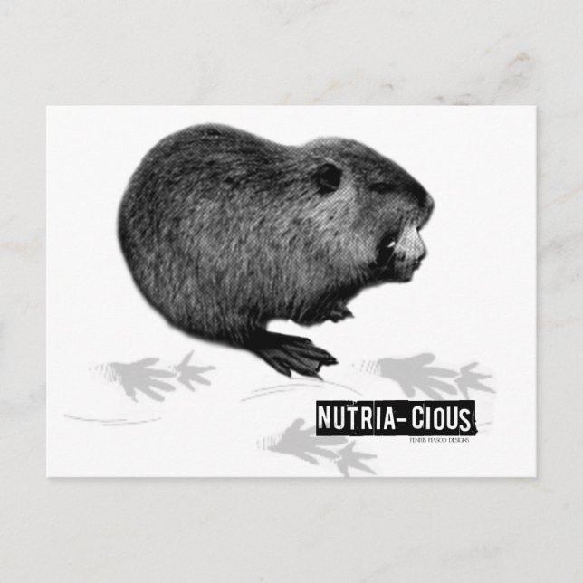 Carte postale Nutritive Nutritive (Devant)