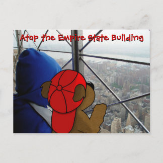 Carte postale NY 'Bear's Dizzying View'