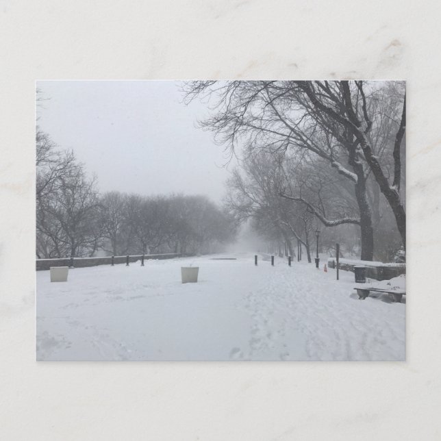 Carte Postale NYC Blizzard Upper West Side Riverside Park Neige (Devant)