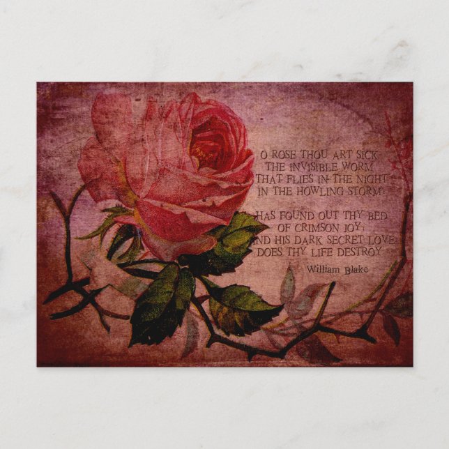 Carte Postale O Rose Tu es malade (Devant)