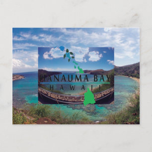 Carte Postale Oahu Island Turtle