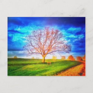 Carte postale Oak Tree