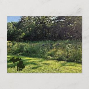Carte Postale Oakwoods Metropark Turquie Chemin avec logo