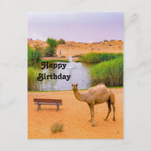 Carte Postale Oasis de chameaux sauvages Photo d'anniversaire
