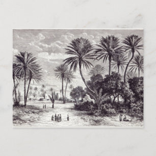 Carte Postale Oasis de Gafsa : Tunis