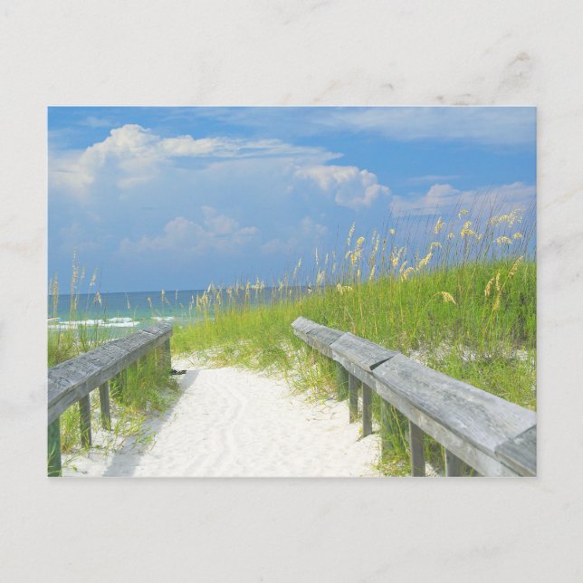 Carte Postale Oats de mer d'or (Devant)