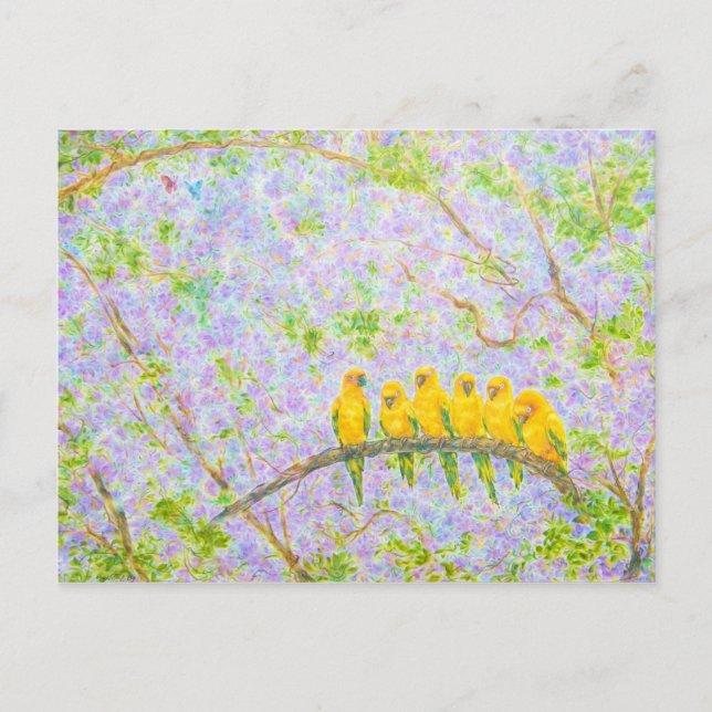 Carte Postale Observateur De La Famille (Devant)