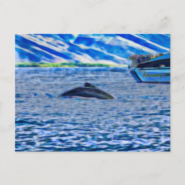 Carte Postale Observation des baleines à Hawaii au large de Maui (Devant)