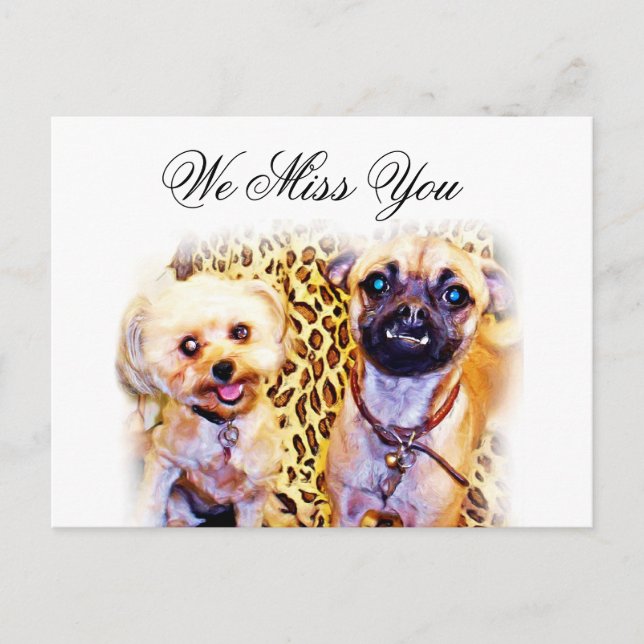 Carte Postale Occasions_ (Devant)