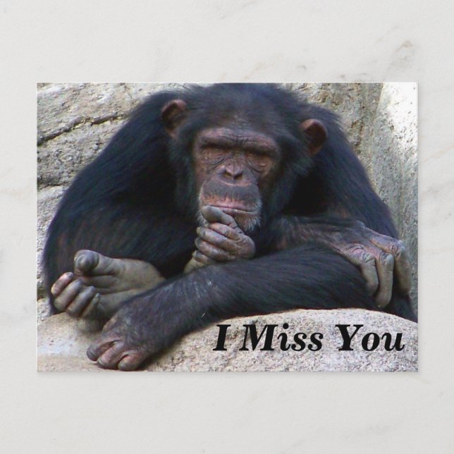 Carte Postale Occasions_ (Devant)