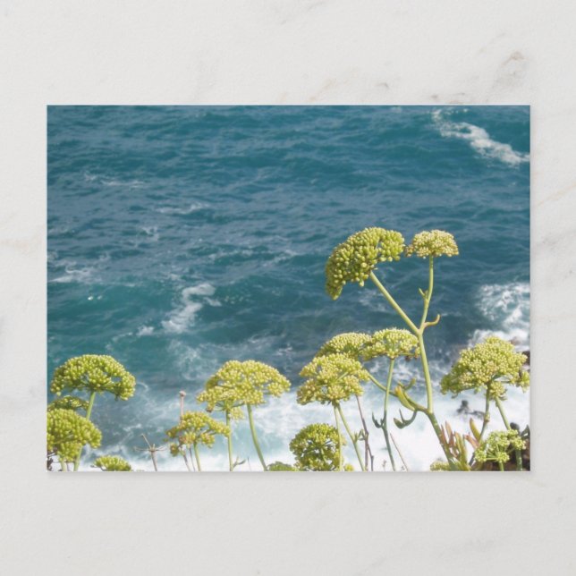 Carte postale Ocean (Devant)