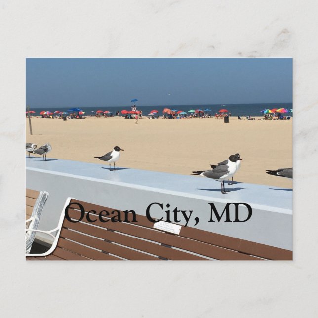 Carte Postale Ocean City Beach, MD avec oiseaux (Devant)