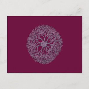 CARTE POSTALE OCEAN URCHIN