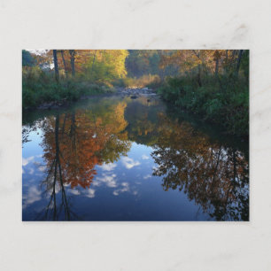 Carte Postale october at the stream