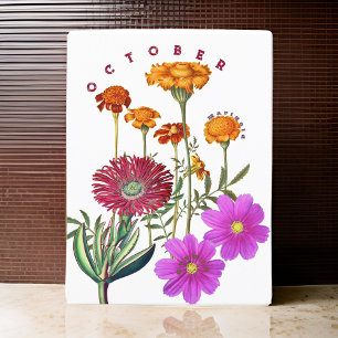 Carte Postale Octobre Mois Fleurs Marigold & Cosmos  