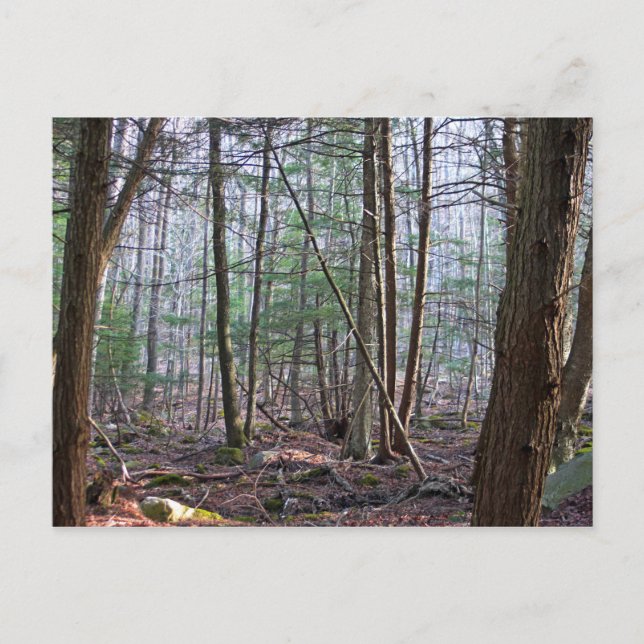 Carte postale Octobre Mountain (Devant)