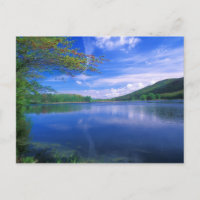 Octobre Mountain State Forest Berkshires