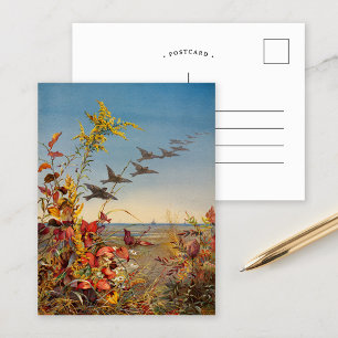 Carte Postale Octobre   Ponts Fidelia