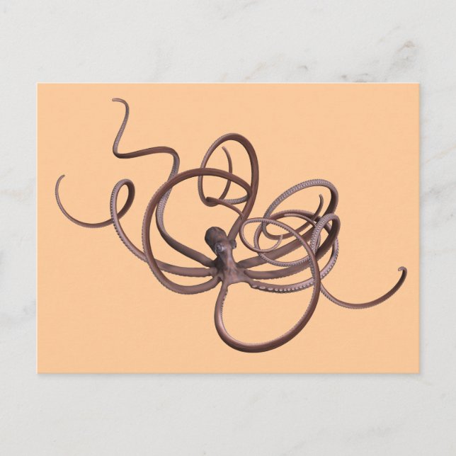 Carte Postale Octopus géant (Devant)
