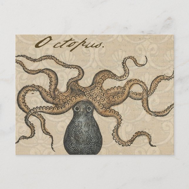 Carte Postale Octopus Kraken Illustration Vintage (Devant)