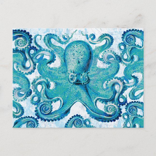 Carte Postale Octopus Marine Vie Océan Animaux Plage Nautique (Devant)